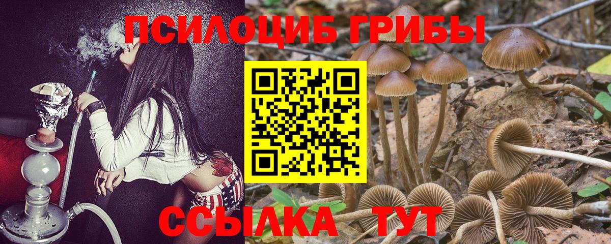Псилоцибиновые грибы MAGIC MUSHROOMS Белореченск