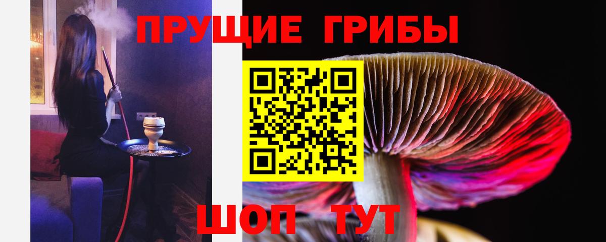 Белореченск  Псилоцибиновые грибы мицелий  Вход с VPN 